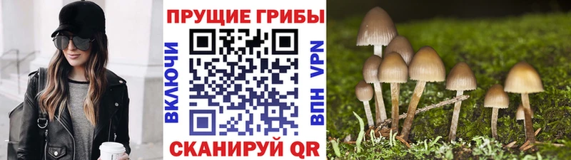 Галлюциногенные грибы ЛСД  Абдулино 